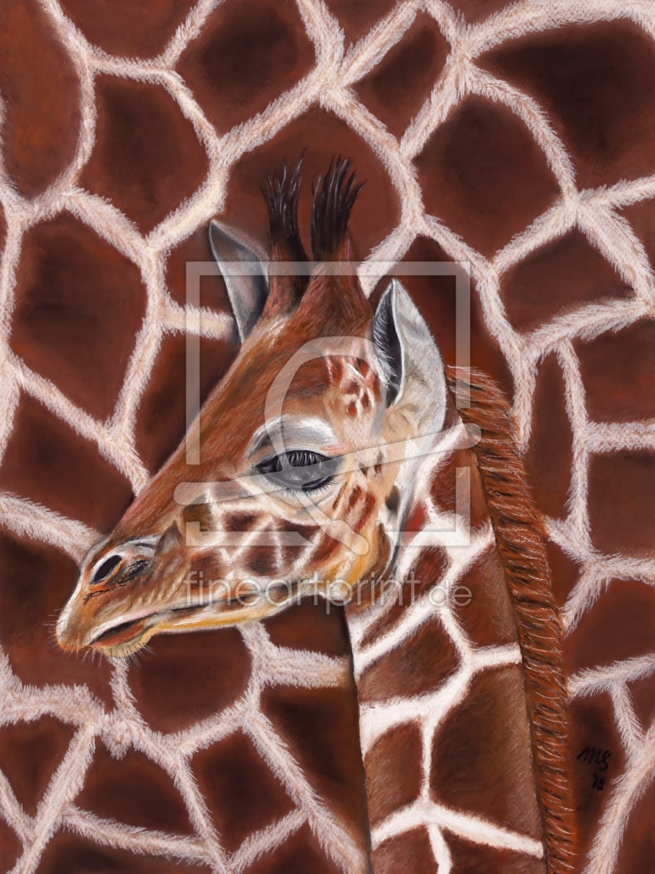 Bild-Nr.: 12048153 Kreidekunst Giraffe erstellt von MoNoir