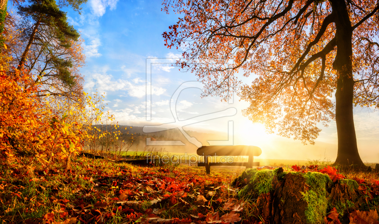 Bild-Nr.: 12051795 Zauberhafte Herbstszene am Morgen erstellt von Smileus