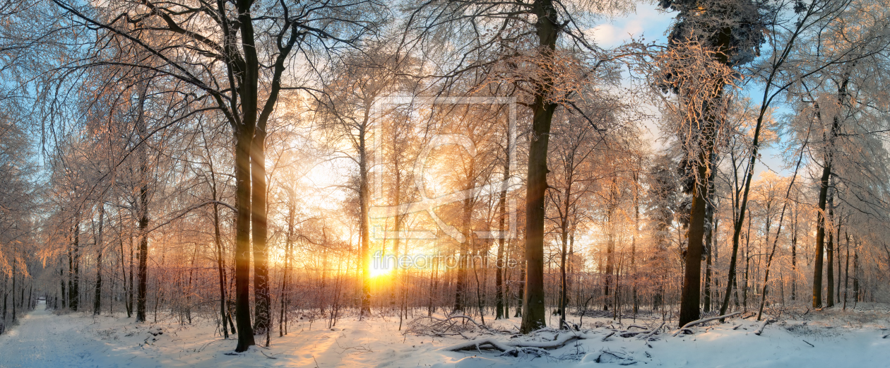 Bild-Nr.: 12052904 Zauberhafter Sonnenuntergang im Winter Wald erstellt von Smileus