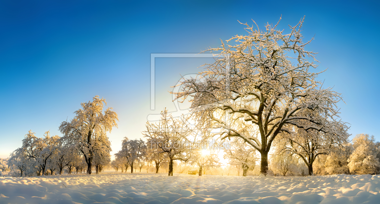 Bild-Nr.: 12053747 Verzauberte Landschaft im Winter erstellt von Smileus
