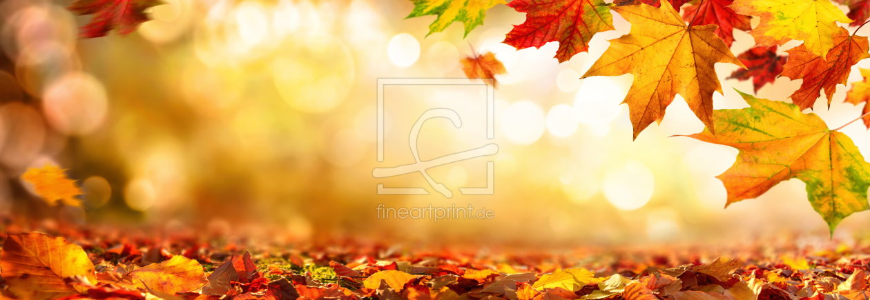 Bild-Nr.: 12103808 Herbstliche Ahornblätter am unscharfen Hintergrund erstellt von Smileus