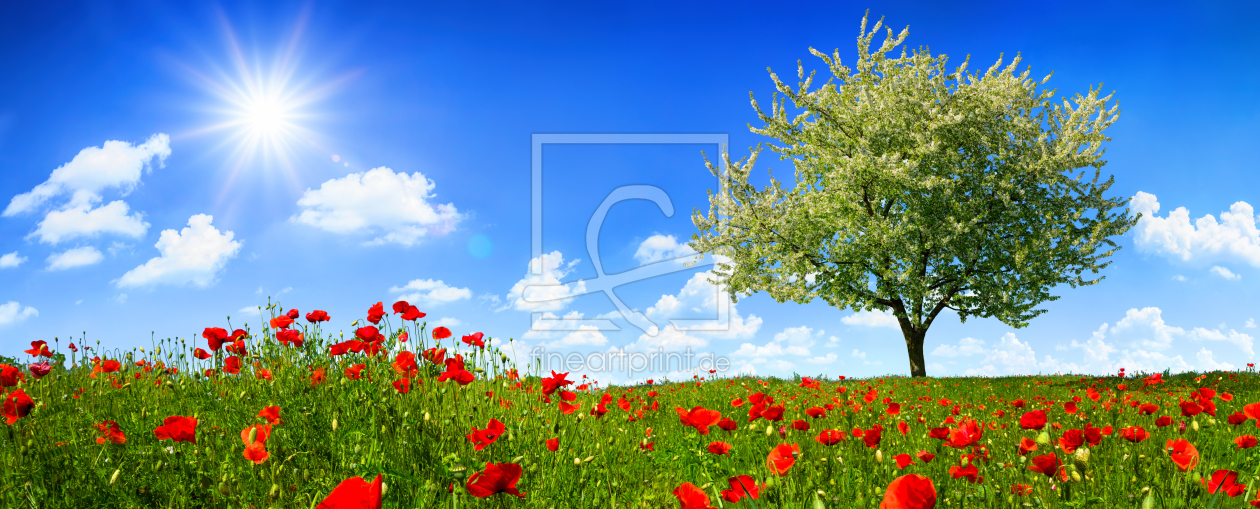 Bild-Nr.: 12106132 Einsamer Baum auf einem Feld mit Mohnblumen erstellt von Smileus