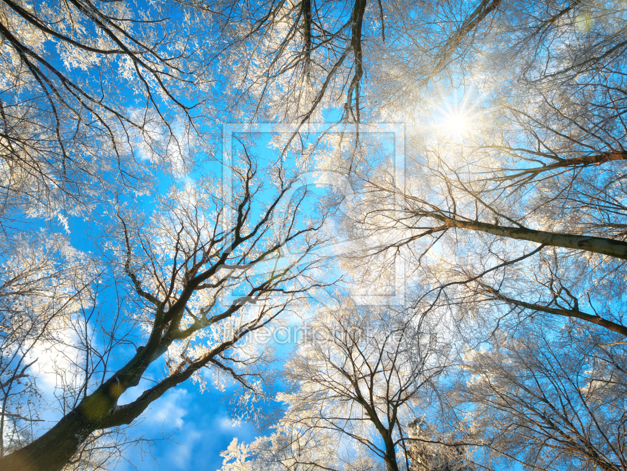 Bild-Nr.: 12107744 Wald im Winter mit verschneiten Baumkronen  erstellt von Smileus