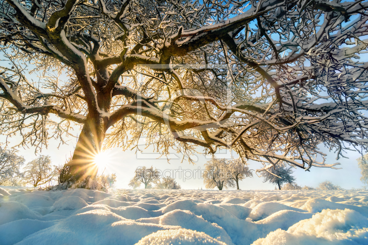 Bild-Nr.: 12108057 Winterlandschaft mit der Sonne hinter schönem Bau erstellt von Smileus