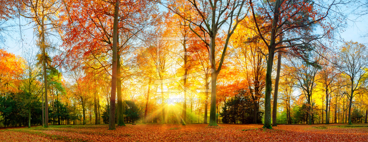 Bild-Nr.: 12113934 Farbenfrohe Herbstzene im Park erstellt von Smileus