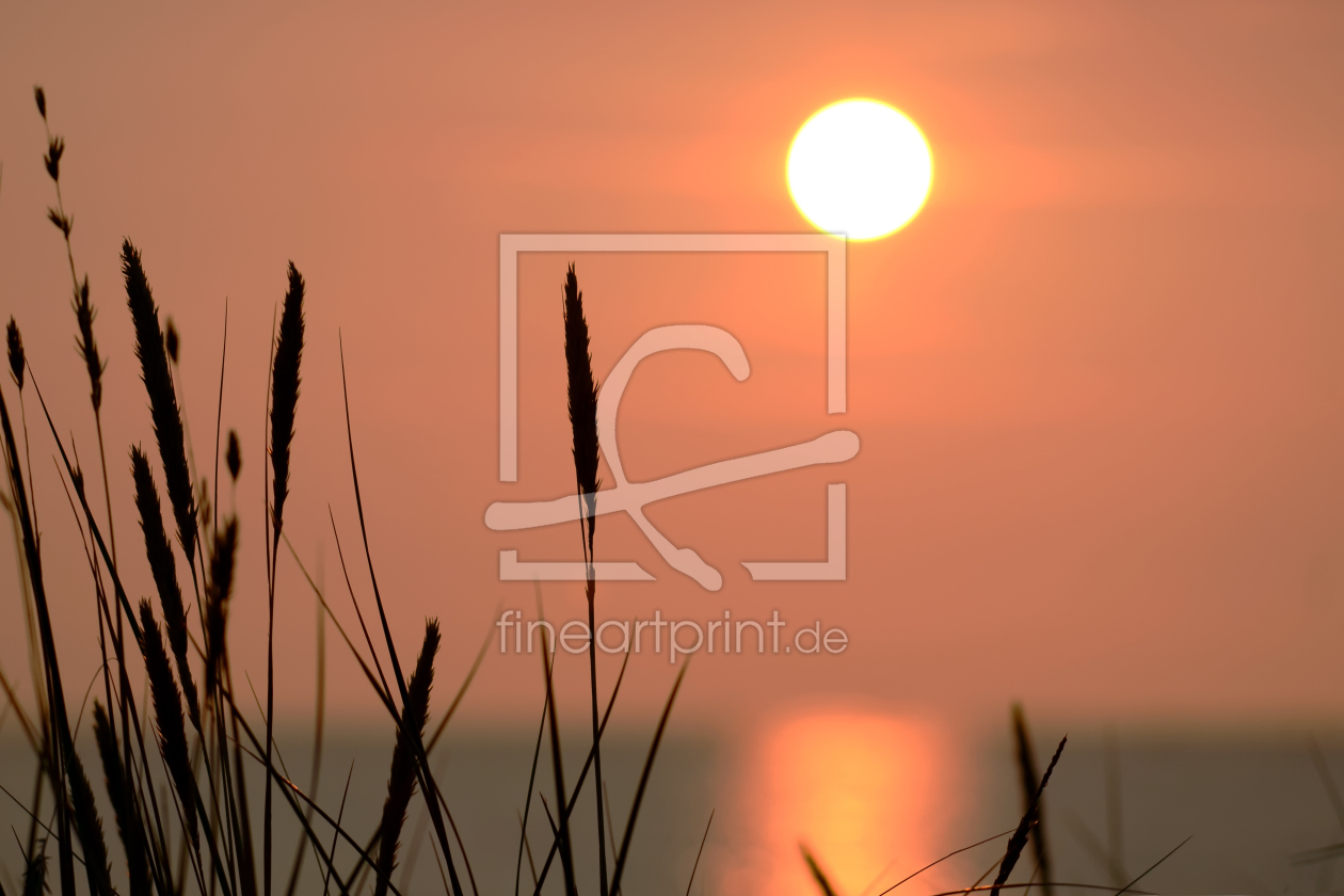 Bild-Nr.: 12115282 Sonnenuntergang mit Dünengras erstellt von Ostfriese