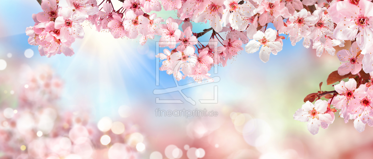 Bild-Nr.: 12115727 Kirschblüte im Frühling mit Bokeh erstellt von Smileus