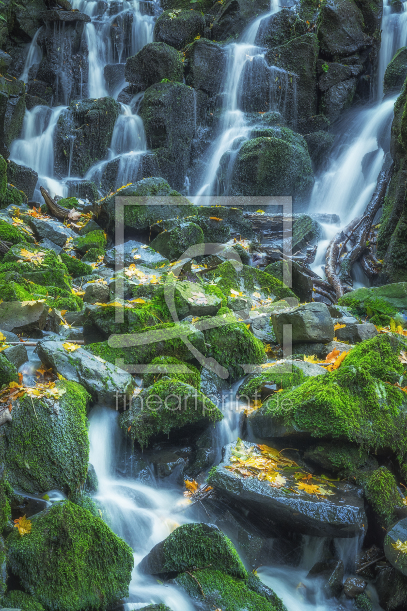 Bild-Nr.: 12115998 Wasserfall im Herbst erstellt von luxpediation