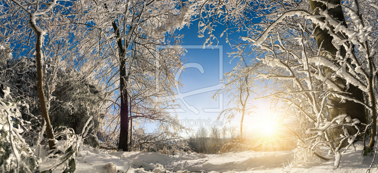 Bild-Nr.: 12117767 Verzauberte Winterlandschaft mit Sonne erstellt von Smileus