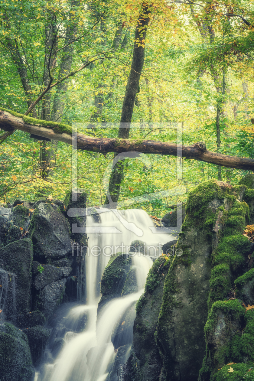 Bild-Nr.: 12118144 Wasserfall im Herbstwald erstellt von luxpediation