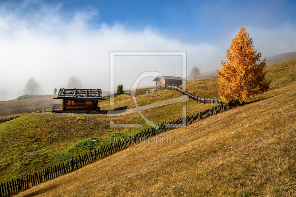 Bild-Nr.: 12118723 Herbst auf der Seiser Alm Südtirol erstellt von Achim Thomae