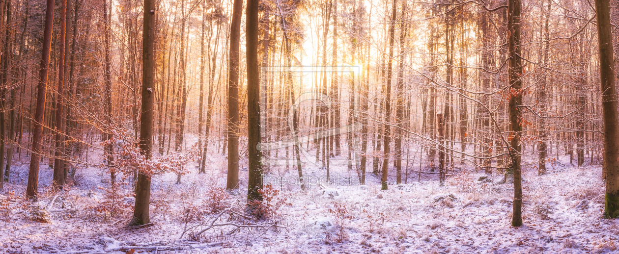 Bild-Nr.: 12127435 Winterwald Panorama bei Sonnenaufgang erstellt von luxpediation