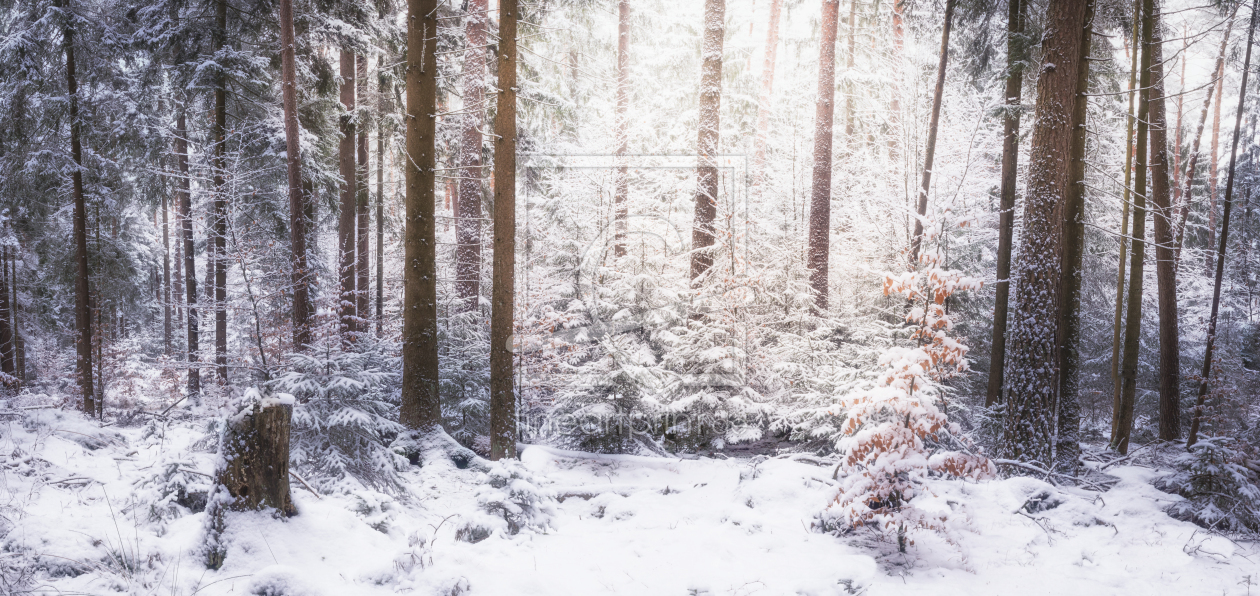 Bild-Nr.: 12127953 Verschneiter Wald erstellt von luxpediation