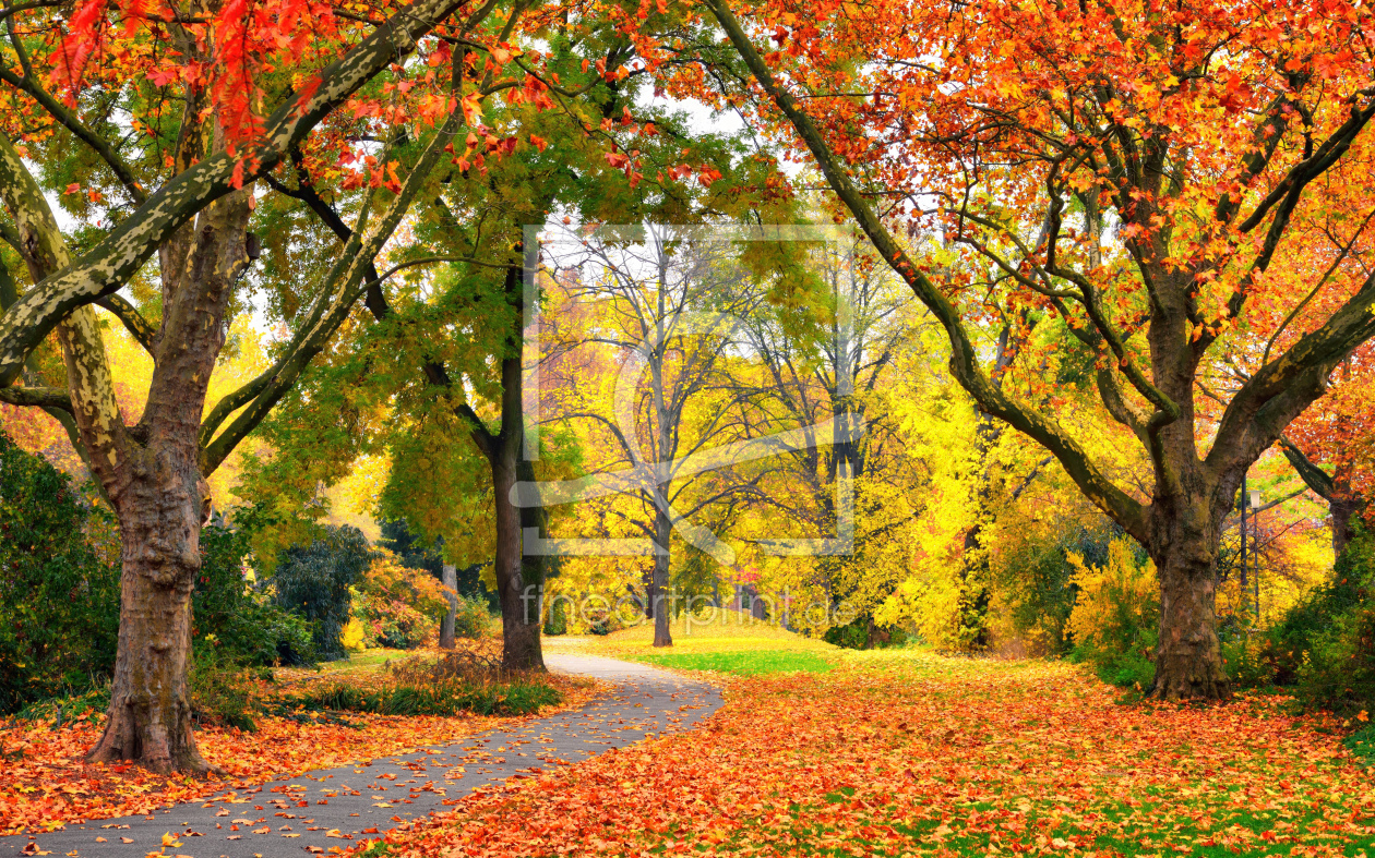 Bild-Nr.: 12128807 Park im Herbst in freundlich warmen Farben erstellt von Smileus
