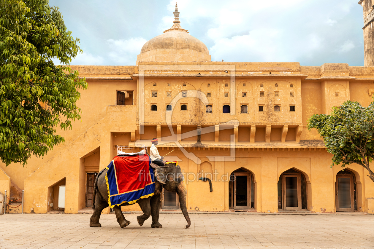 Bild-Nr.: 12131293 Elefantentaxi im Fort Amber in Rajasthan erstellt von Thomas Herzog
