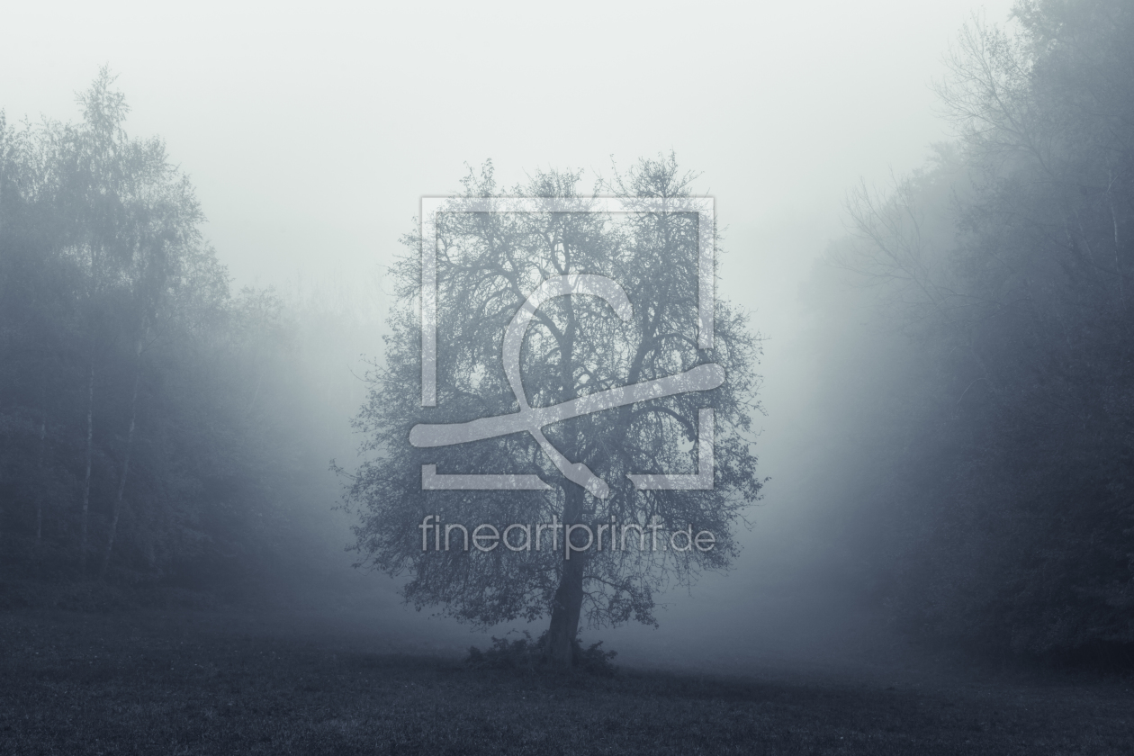 Bild-Nr.: 12132552 Magical Tree - Baum im Nebel erstellt von luxpediation