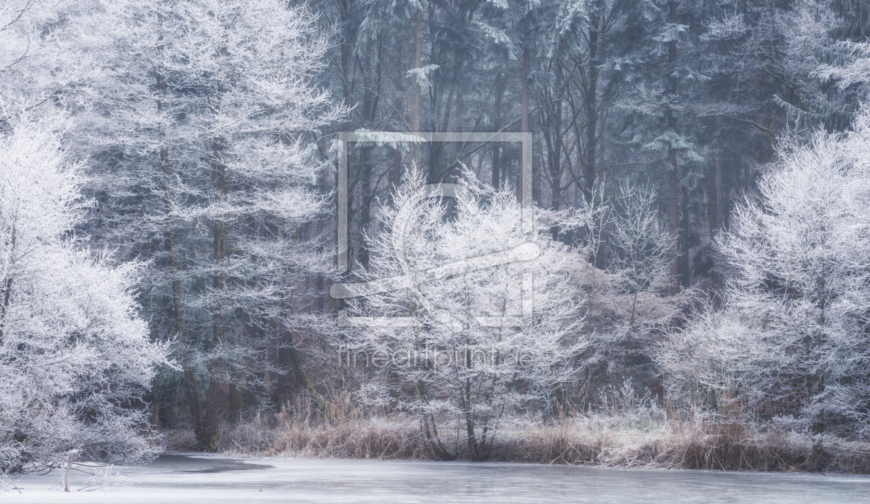 Bild-Nr.: 12160763 Frost am See  erstellt von luxpediation