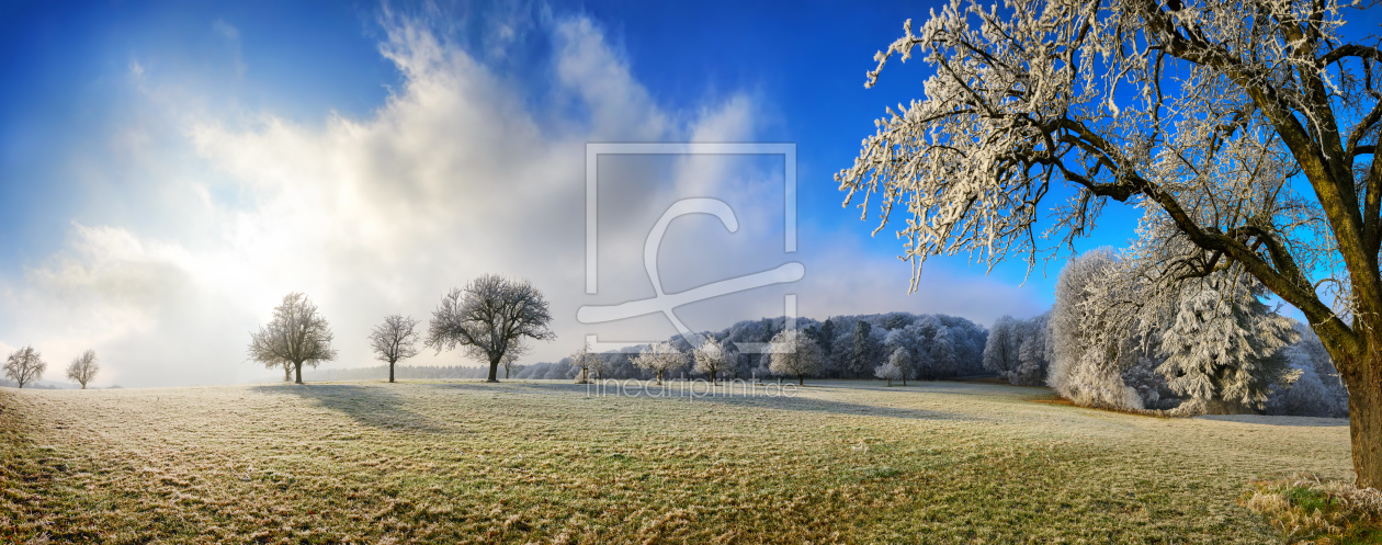 Bild-Nr.: 12163260 Magische Winterlandschaft im Panorama Format erstellt von Smileus