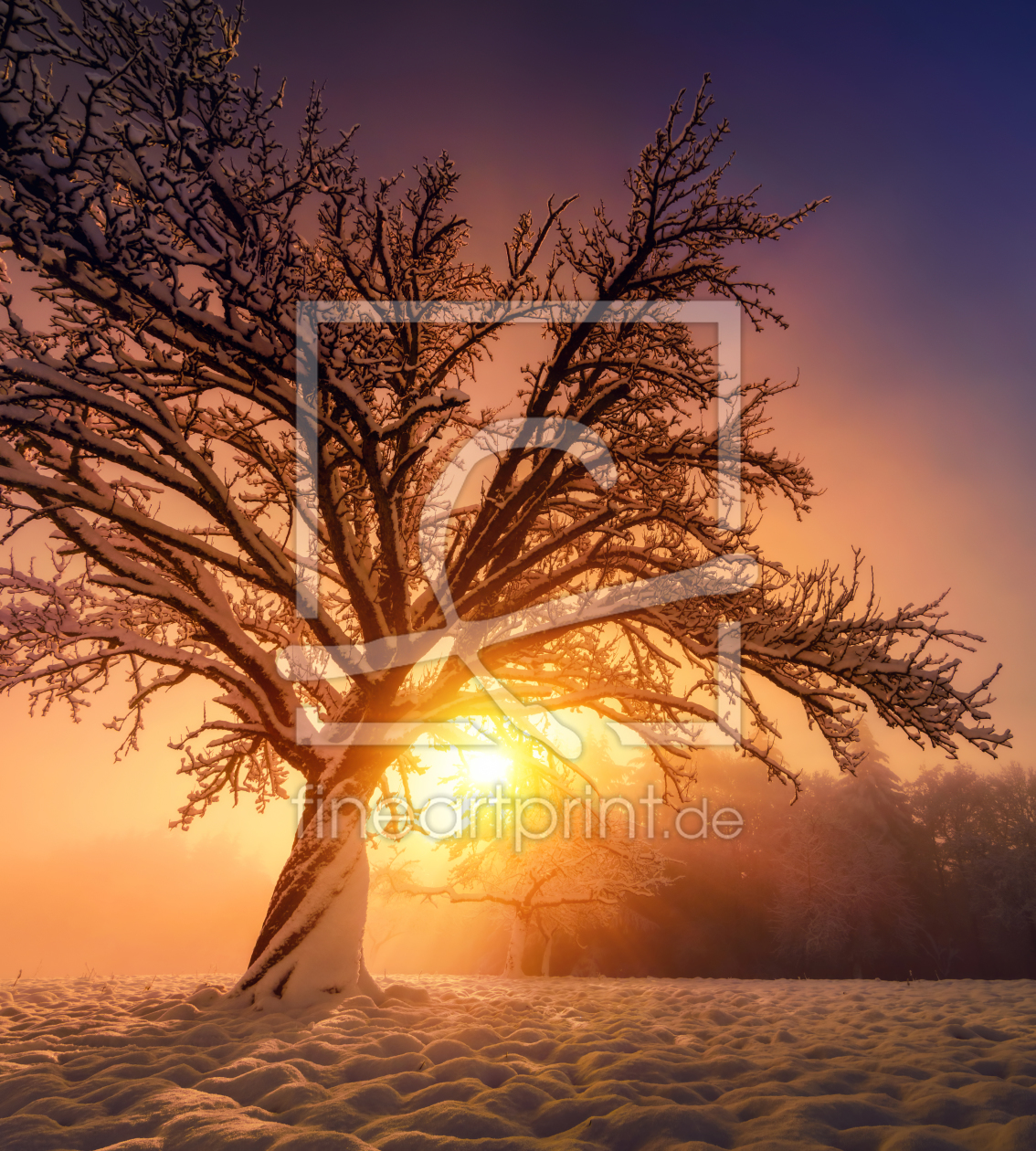 Bild-Nr.: 12163292 Baum im magischem winterlichem Sonnenuntergang erstellt von Smileus