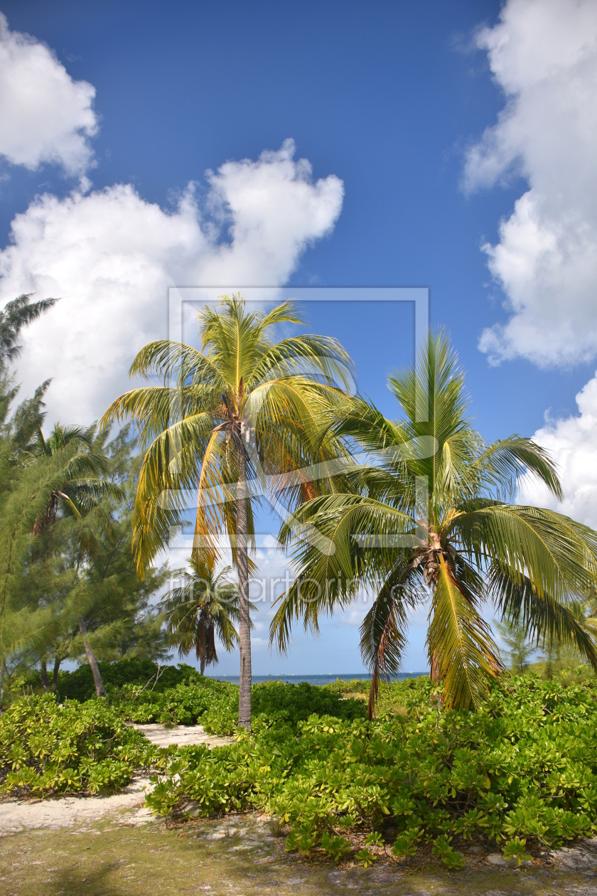 Bild-Nr.: 12165904 Grand Cayman erstellt von GUGIGEI