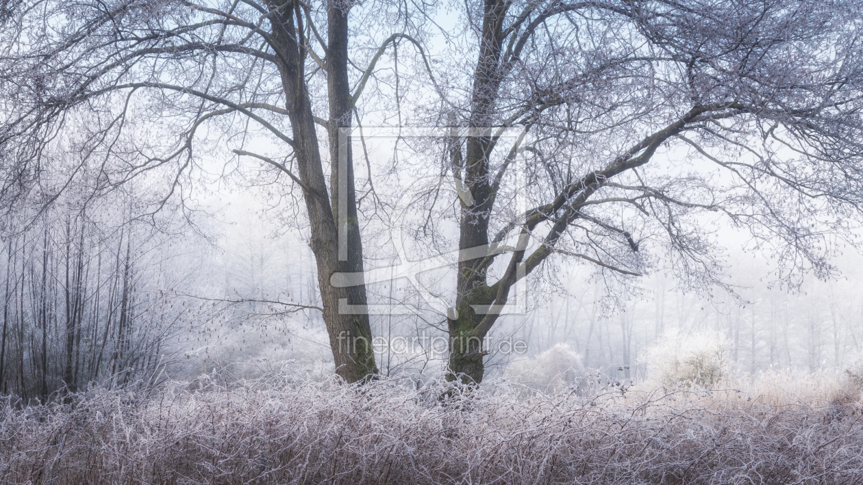 Bild-Nr.: 12169074 Bäume in traumhafter Winterlandschaft erstellt von luxpediation