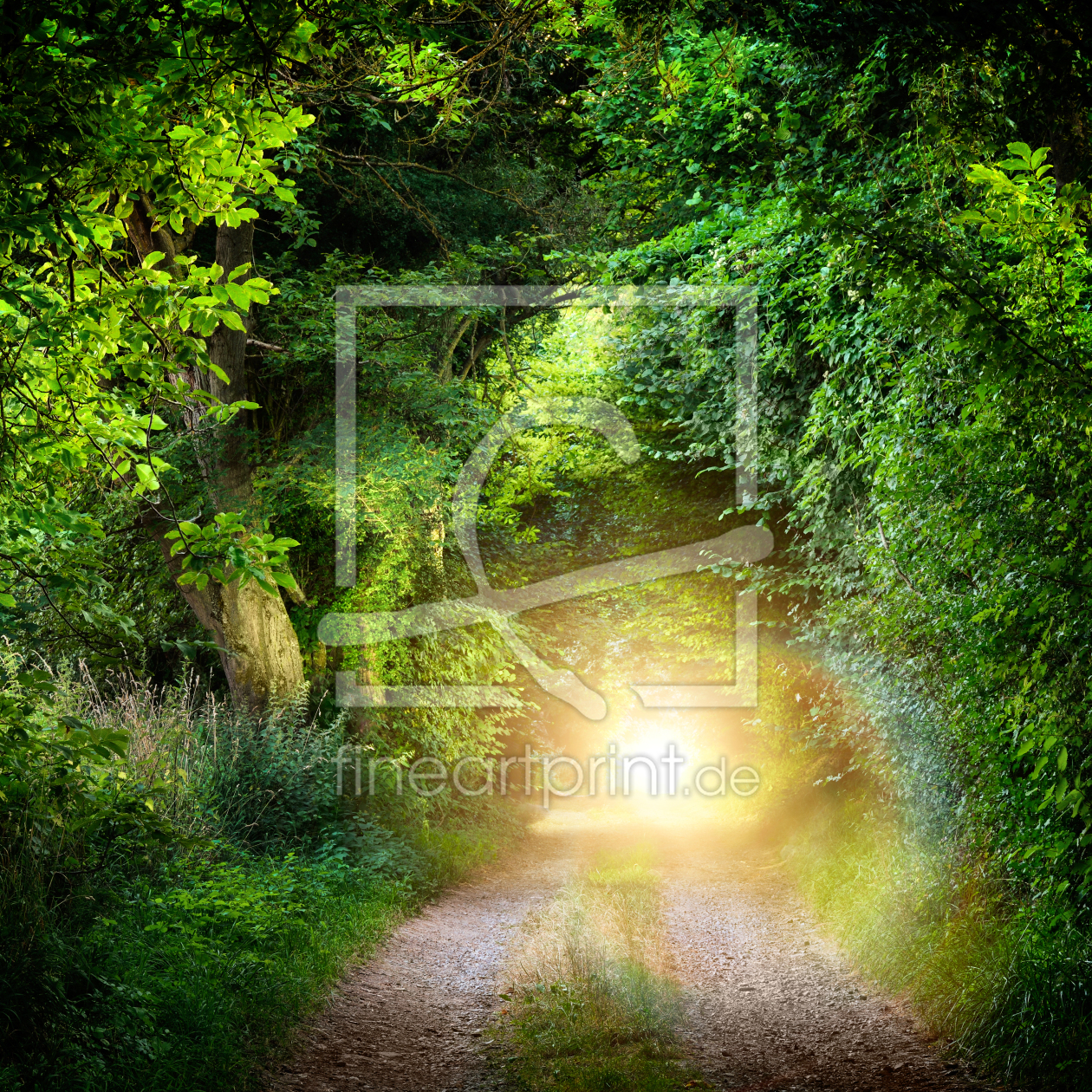 Bild-Nr.: 12170641 Tunnel aus Bäumen führt ins Licht erstellt von Smileus