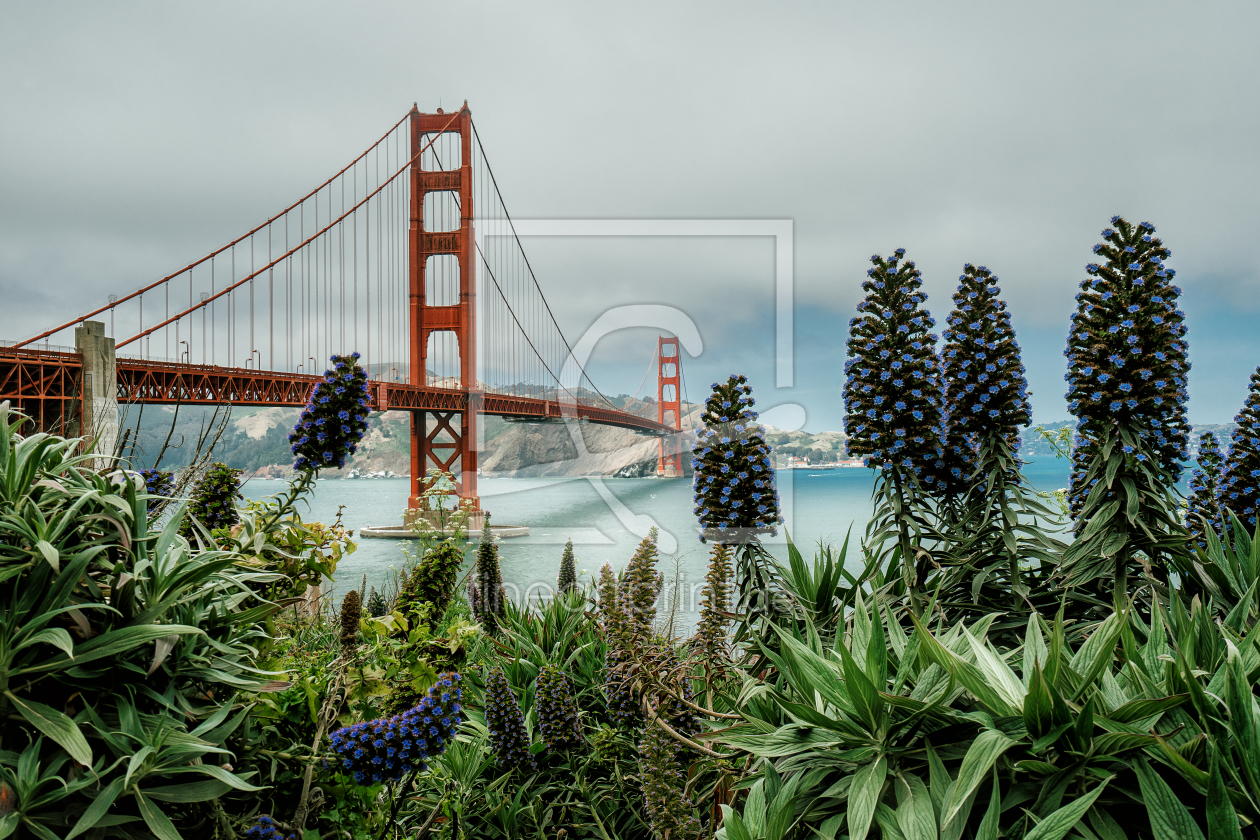Bild-Nr.: 12171236 Golden Gate Bridge  erstellt von hessbeck