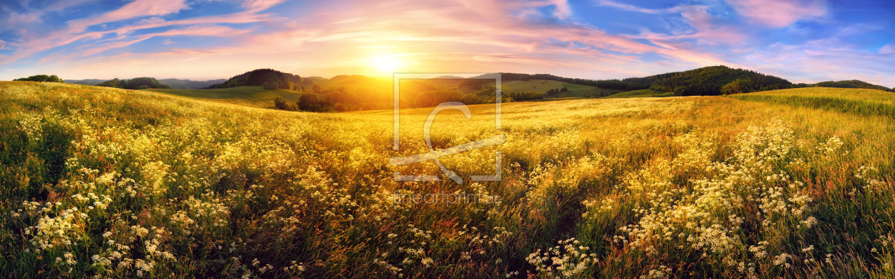 Bild-Nr.: 12171269 Panorama of a colorful sunset on beautiful meadow erstellt von Smileus