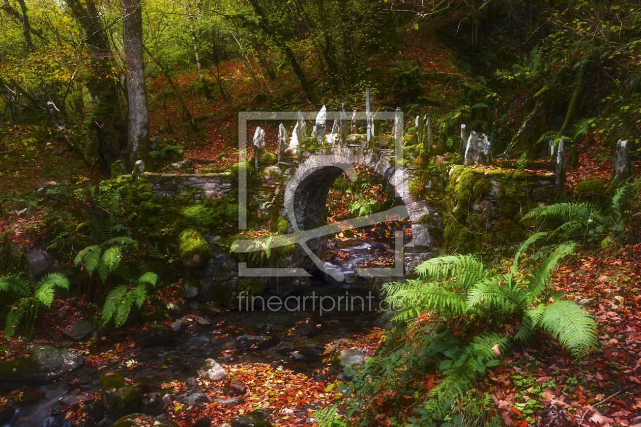 Bild-Nr.: 12172595 kleine Brücke im Wald erstellt von Daniela Beyer
