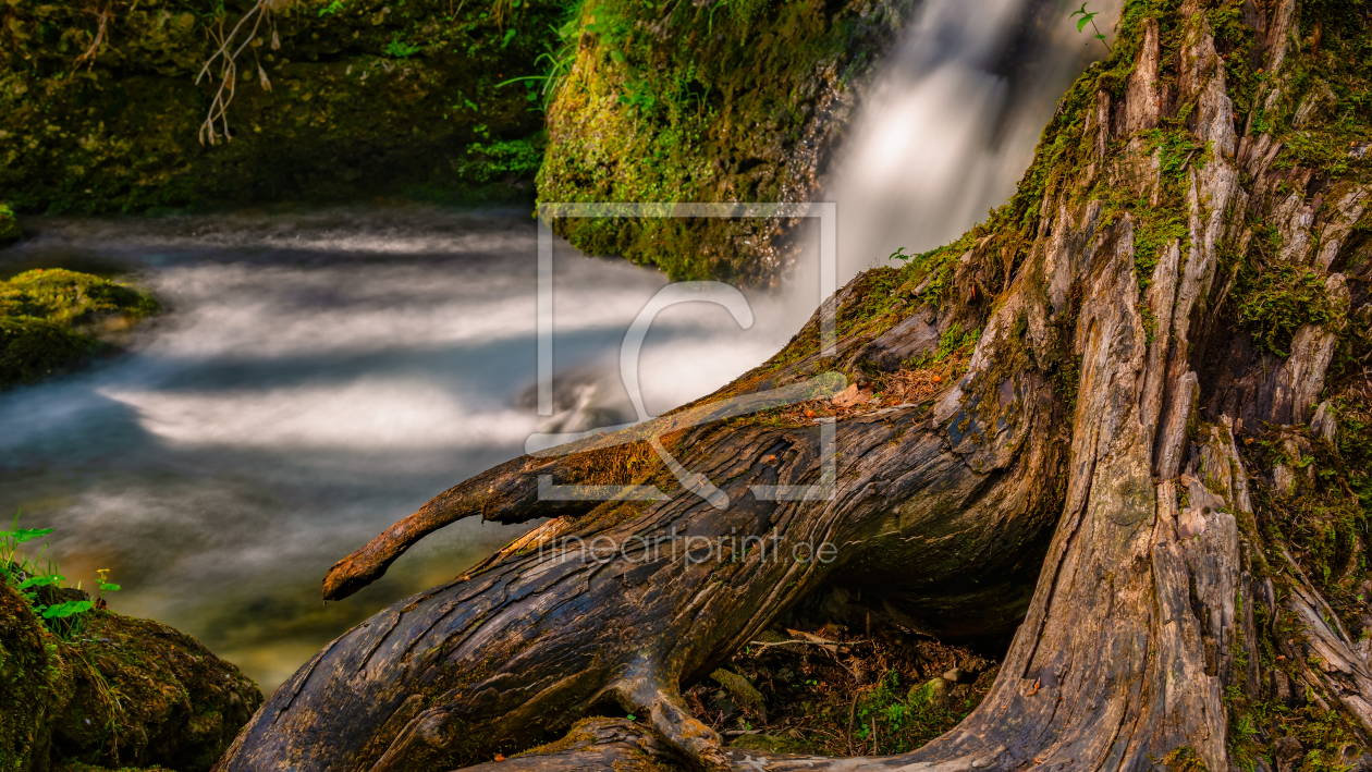 Bild-Nr.: 12173811 Alter Wurzelstock am Wasserfall erstellt von mindscapephotos