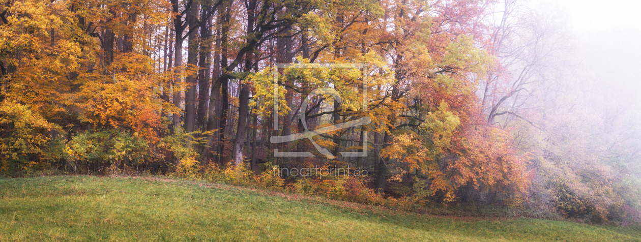 Bild-Nr.: 12173850 Herbstwald Panorama erstellt von luxpediation
