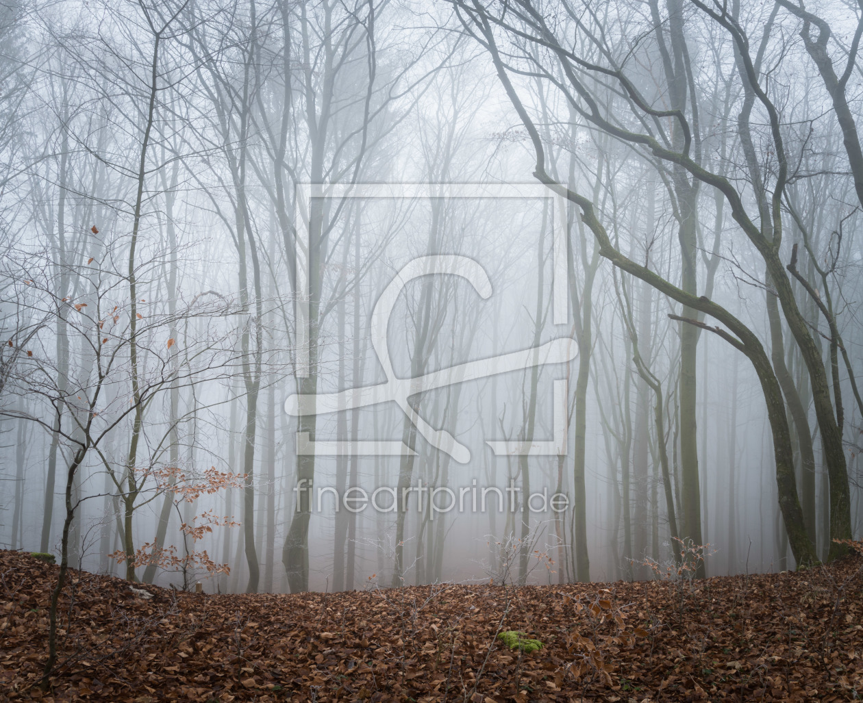 Bild-Nr.: 12174152 Bäume im Nebel des Winters erstellt von luxpediation