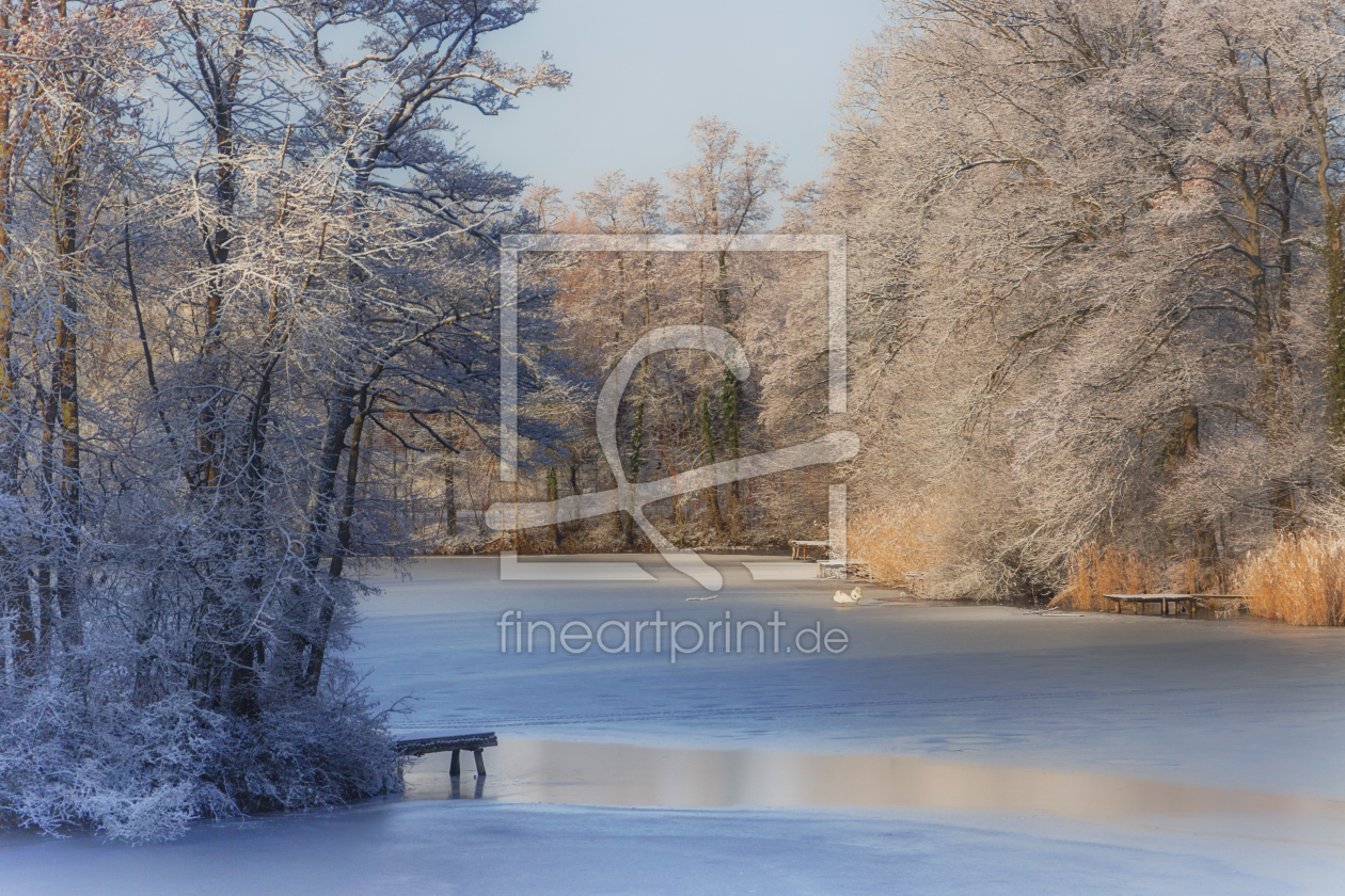 Bild-Nr.: 12174539 Winter Morning erstellt von PassionPhotography