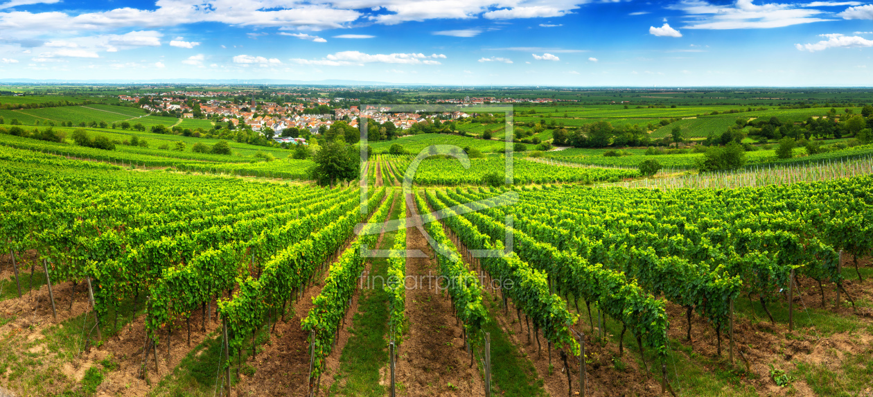 Bild-Nr.: 12227942 Panorama einer grünen Weinlandschaft erstellt von Smileus