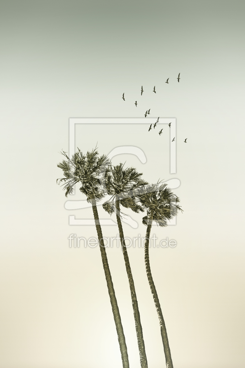 Bild-Nr.: 12228115 Vintage Palmen im Sonnenuntergang erstellt von Melanie Viola
