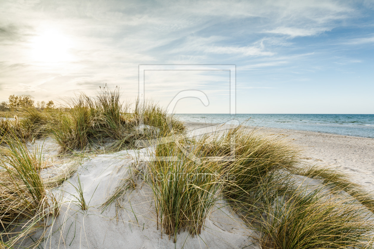 Bild-Nr.: 12228623 Ostsee Stranddüne erstellt von Ursula Reins