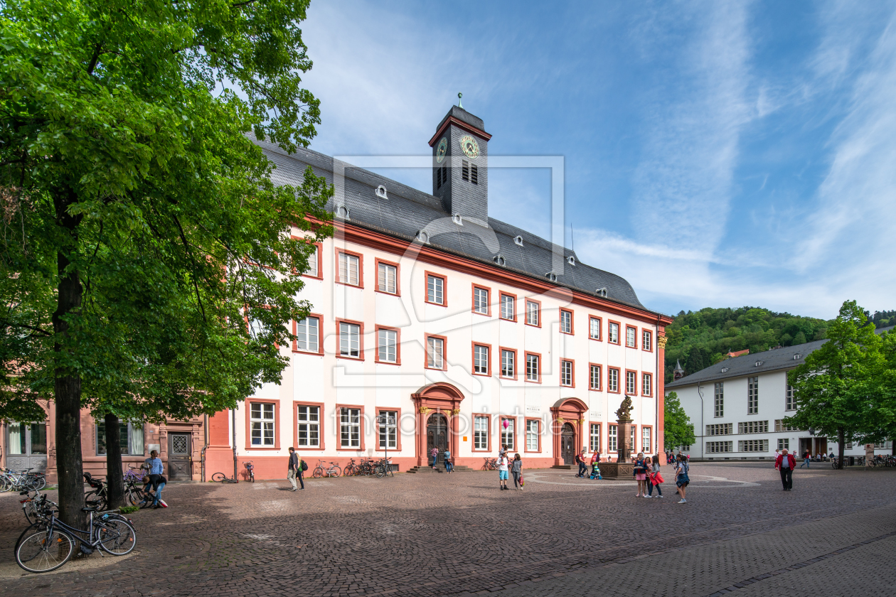 Bild-Nr.: 12230070 Alte Universität in Heidelberg erstellt von eyetronic