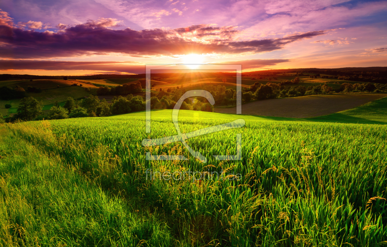 Bild-Nr.: 12231090 Farbenfroher Sonnenuntergang auf grünem Feld erstellt von Smileus