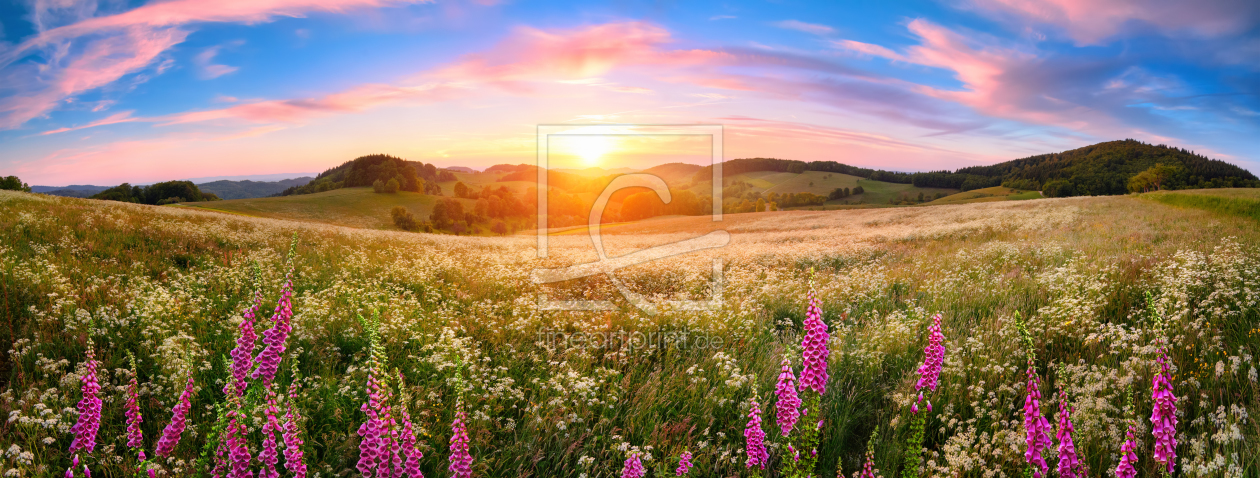 Bild-Nr.: 12241055 Panorama einer Blumenwiese bei Sonnenuntergang erstellt von Smileus