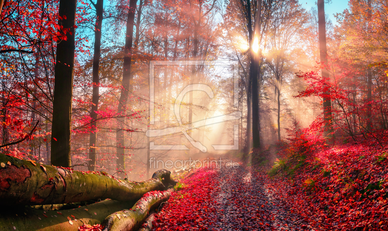 Bild-Nr.: 12251237 Stimmungsvoller Herbstwald in verträumten Farben erstellt von Smileus