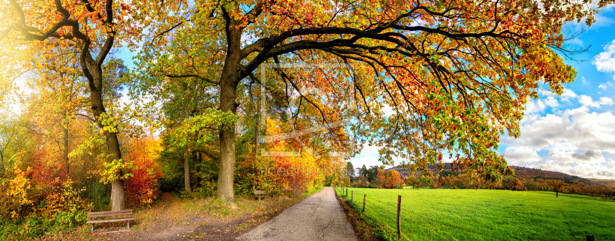 Bild-Nr.: 12260089 Farbenfrohe ländliche Szene im Herbst erstellt von Smileus