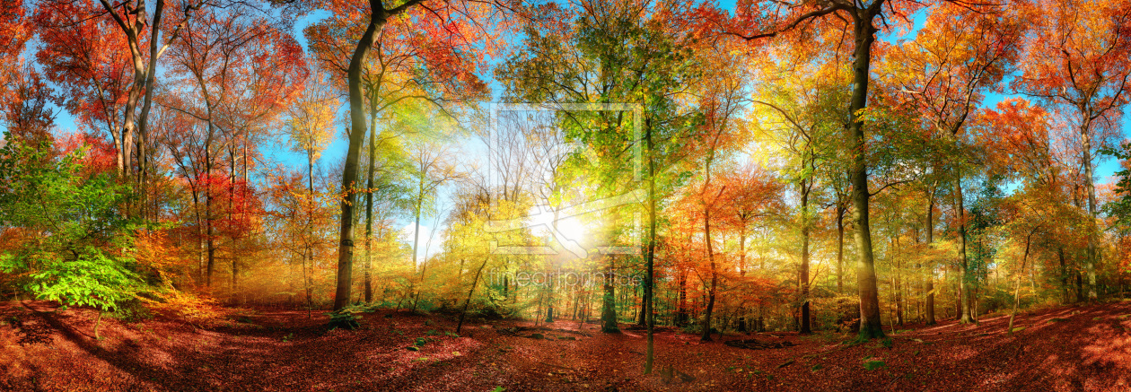 Bild-Nr.: 12260092 Farbenfrohes Waldpanorama mit Sonne im Herbst erstellt von Smileus