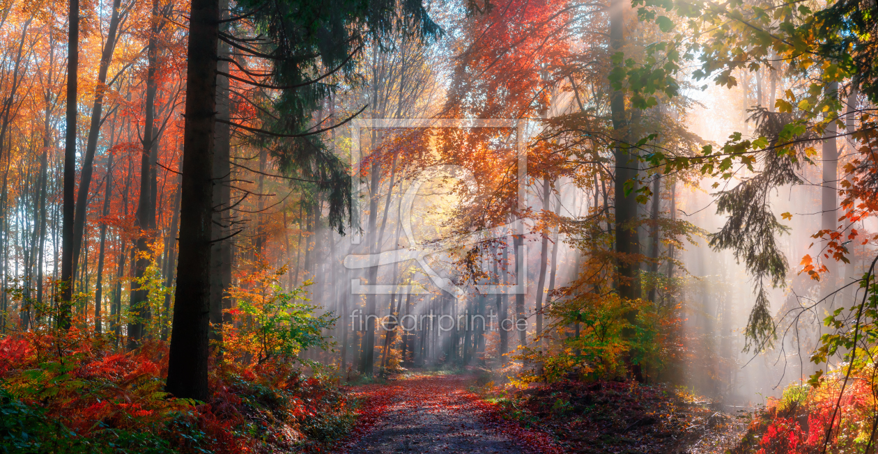 Bild-Nr.: 12267236 Magische Herbstszene im nebligen Wald erstellt von Smileus