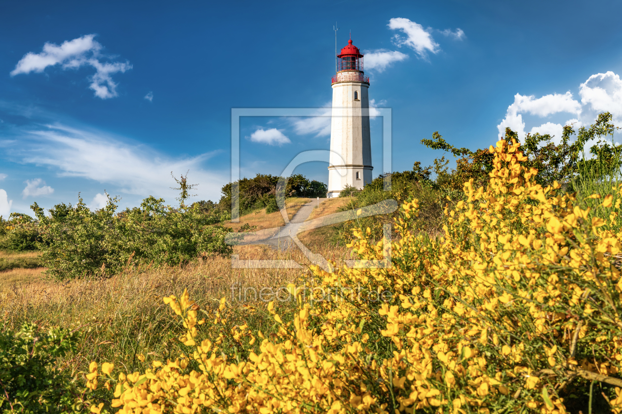 Bild-Nr.: 12291233 Leuchtturm auf der Insel Hiddensee an der Ostsee erstellt von FotoPictures