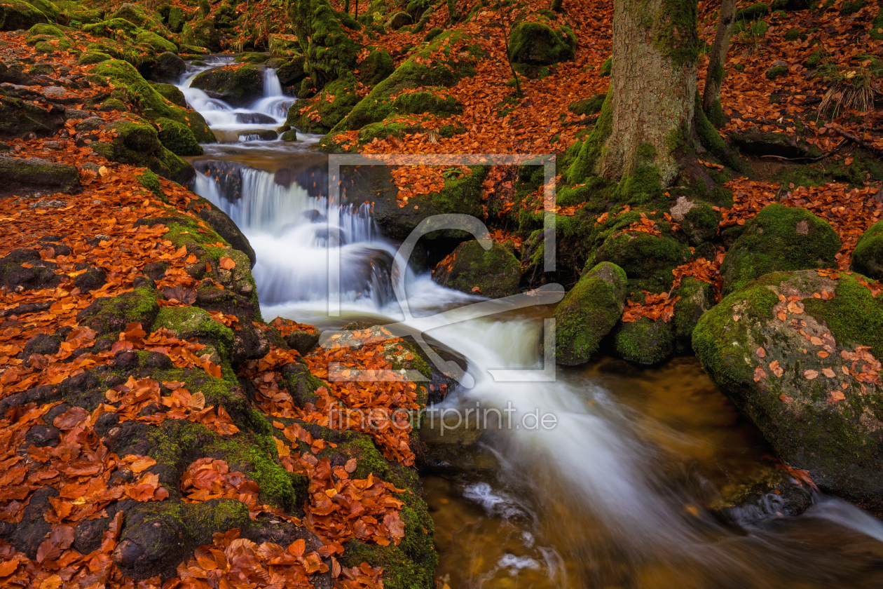 Bild-Nr.: 12323387 Wildbach im Herbstwald erstellt von Thomas Herzog