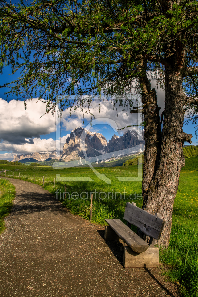 Bild-Nr.: 12360330 Seiser Alm Südtirol erstellt von Achim Thomae