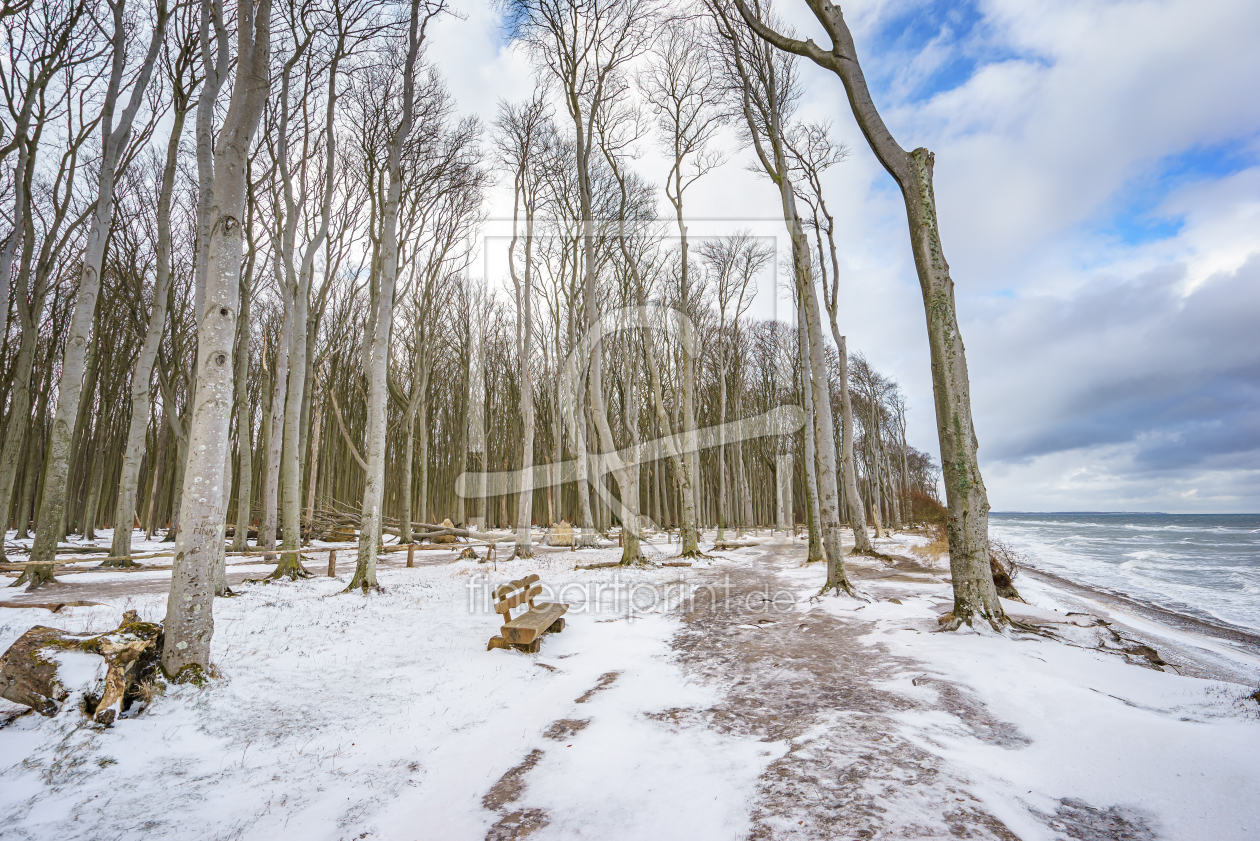 Bild-Nr.: 12382479 Gespensterwald im Winter erstellt von FotoDeHRO