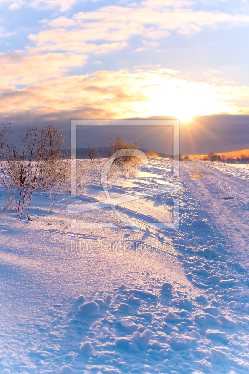 Bild-Nr.: 12384126 Winter Träume im Schnee erstellt von Tanja Riedel