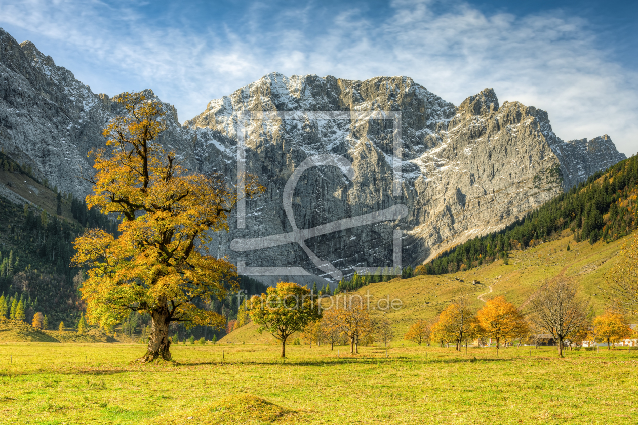 Bild-Nr.: 12390749 Großer Ahornboden in Österreich erstellt von Michael Valjak
