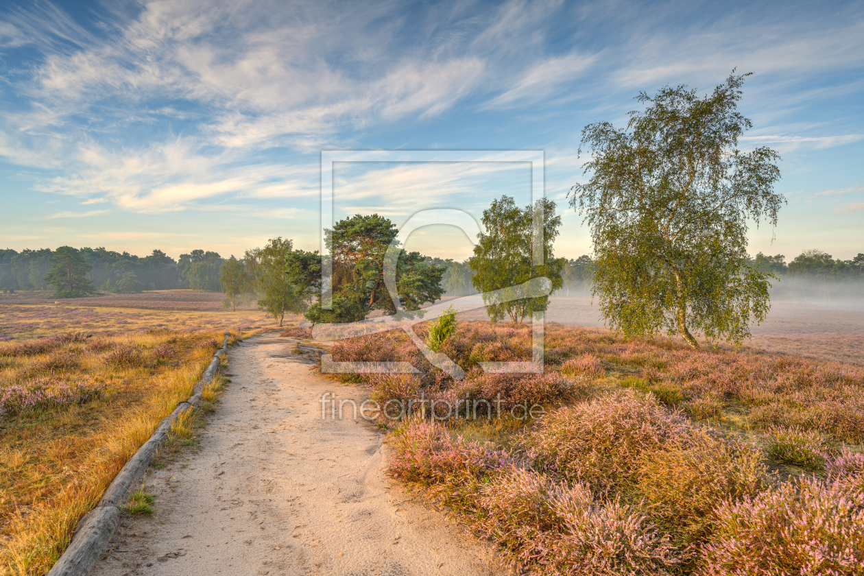 Bild-Nr.: 12393975 Morgensonne in der Heide erstellt von Michael Valjak